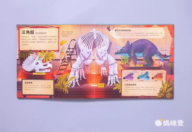 打造你的恐龍博物館（內含5組史前恐龍立體模型）