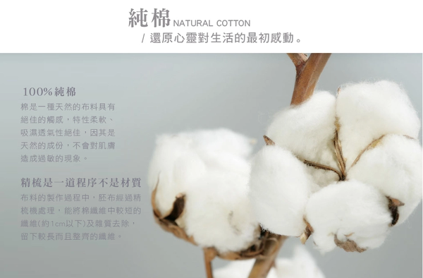 澳洲 Simple Living - 300織台灣製純棉床包枕套組-月見紫-單人