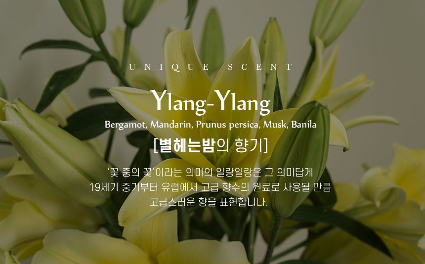 夢幻泡泡澡！韓國 Unique 香氛入浴球｜EWG認證成份