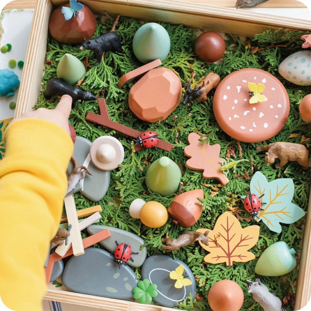 秘密森林藏寶盒