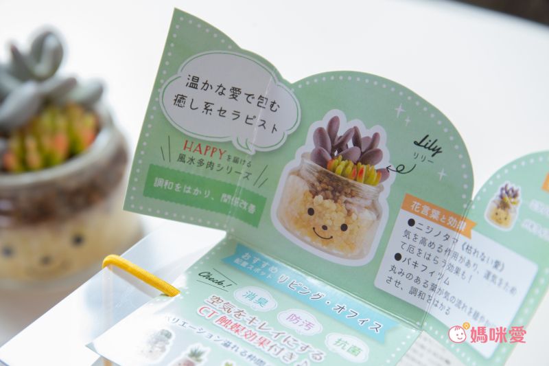 日本 KISHIMA - CT觸媒 開運消臭仿真多肉盆栽-防小人-Adele (S(6.5x7x11cm))