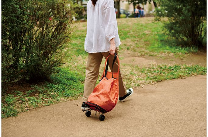 日本 COCORO - 輕量折疊大容量購物車(耐重5kg)-貓咪-深棕-36x17x75cm
