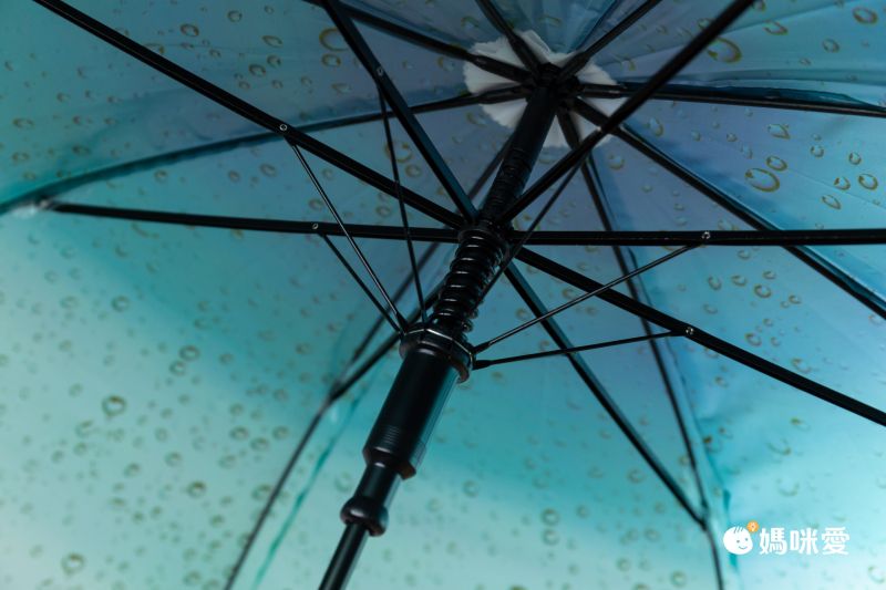 日本中谷 - [日雜推薦] 各種貓咪透明傘/雨傘-粉紫 (傘骨60cm)