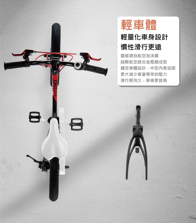 Royalbaby - 14吋星際兒童腳踏車(送打氣筒)-紫色