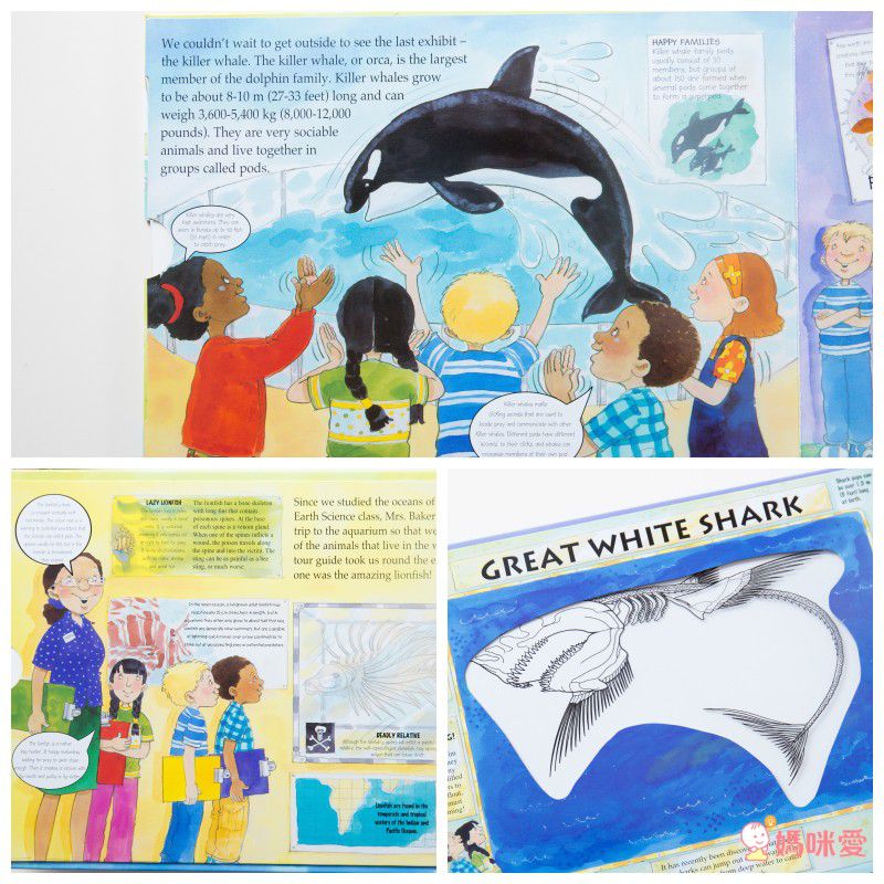 Alligator Books - A Magic Skeleton Book 6 Books