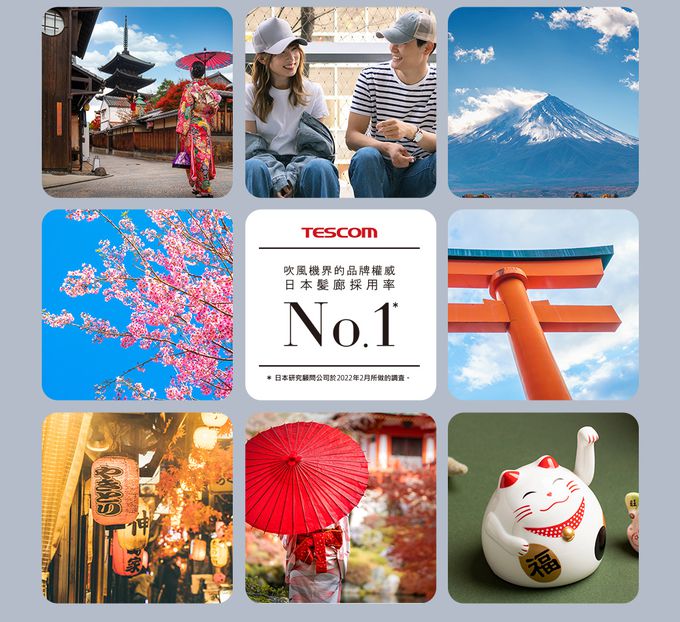 日本 TESCOM - 專業級負離子吹風機 TD880ATW-雪白色
