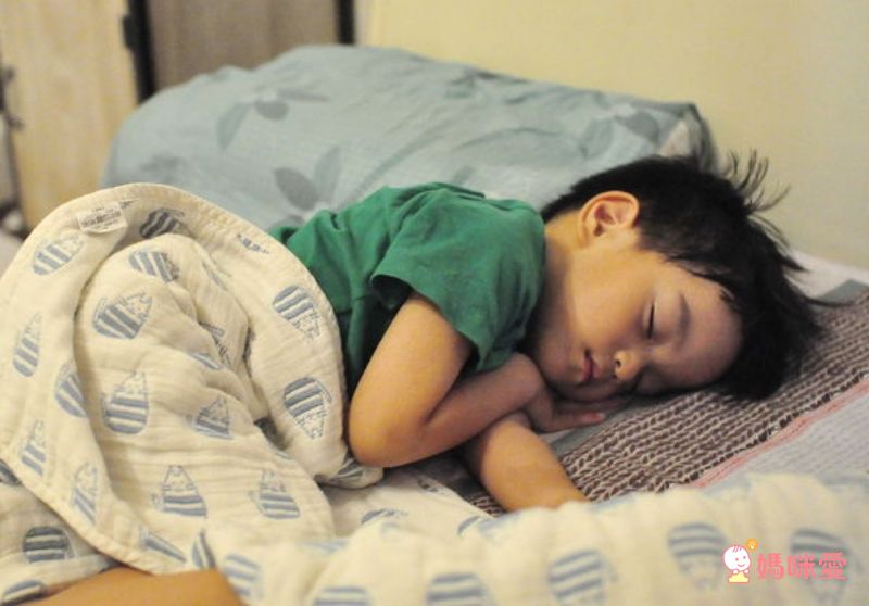 日本 Fuwara - 日本製三河木棉六重紗蓋毯-彩色蘑菇 (70x100cm)