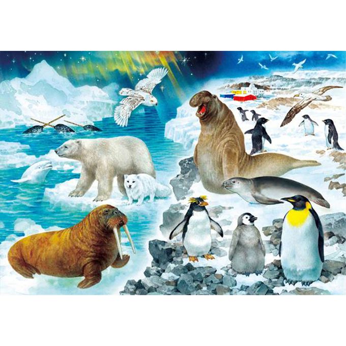 KUMON - 益智拼圖STEP 4-1 極地、海洋及熱帶動物-54pcs/70pcs/88pcs