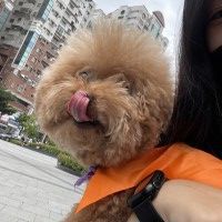 用戶頭像