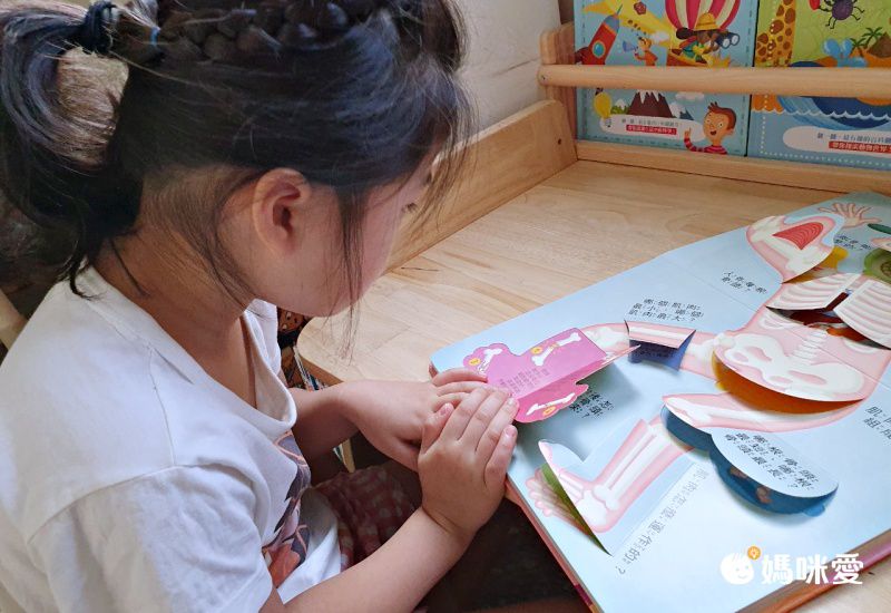 動手翻，長知識！專為3-6歲兒童設計的百科翻翻書