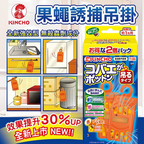 果蠅誘捕吊掛-強效型-2入/盒