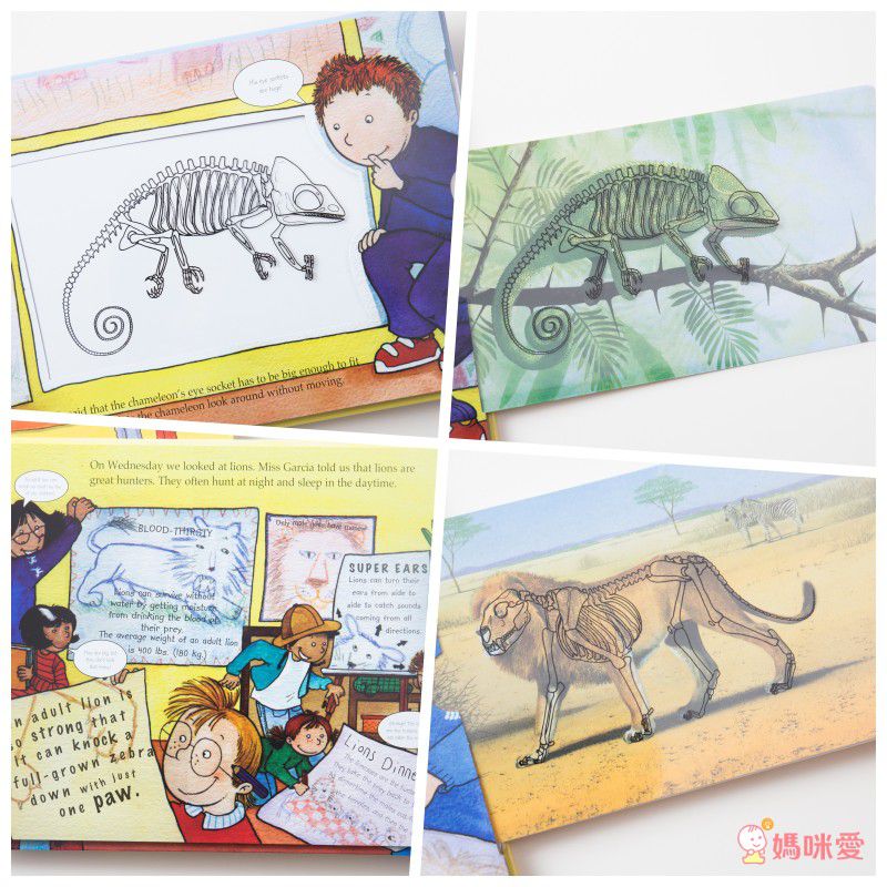 Alligator Books - A Magic Skeleton Book 6 Books