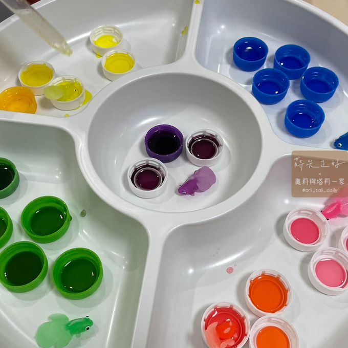 玩玩 Play - 韓國分格多用感官盆-分分盆_圓圓 (直徑37cm/深度4cm)