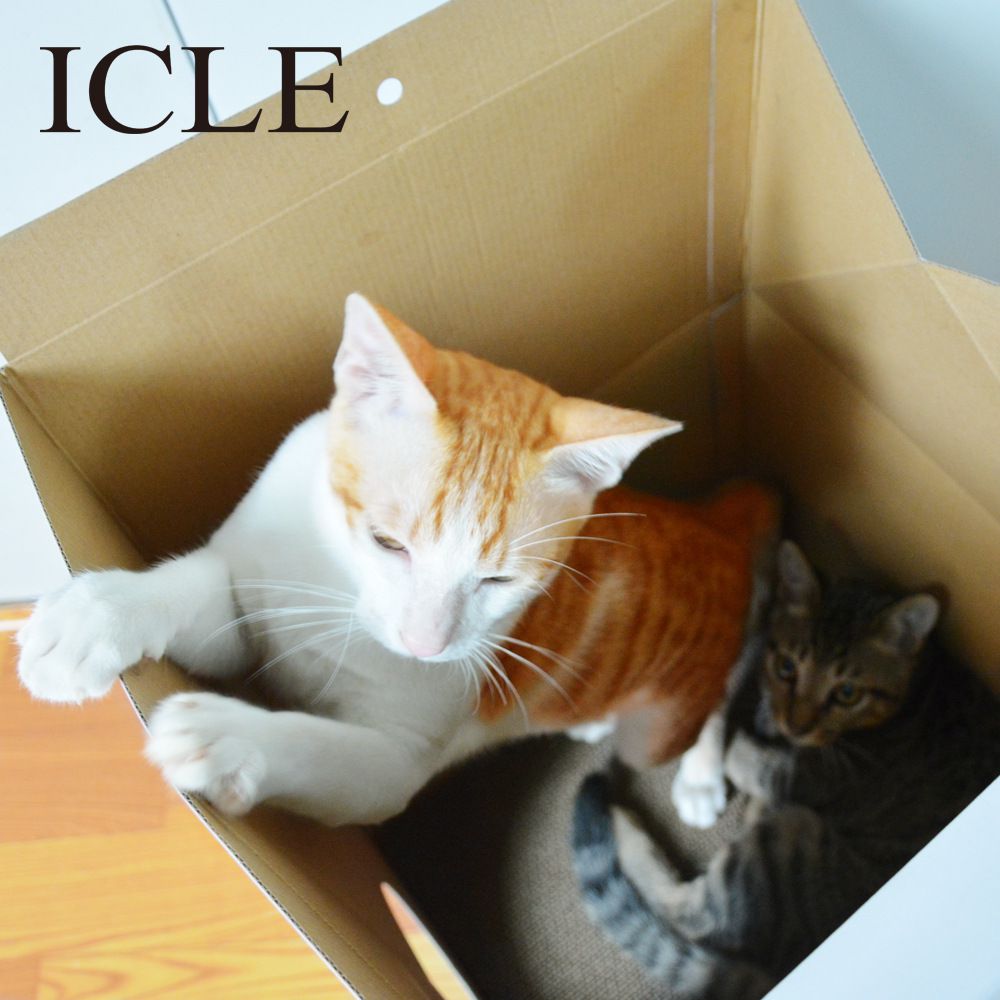 瓦愣紙製造型貓抓屋-牛奶盒-藍色 (33x32x56.5cm)