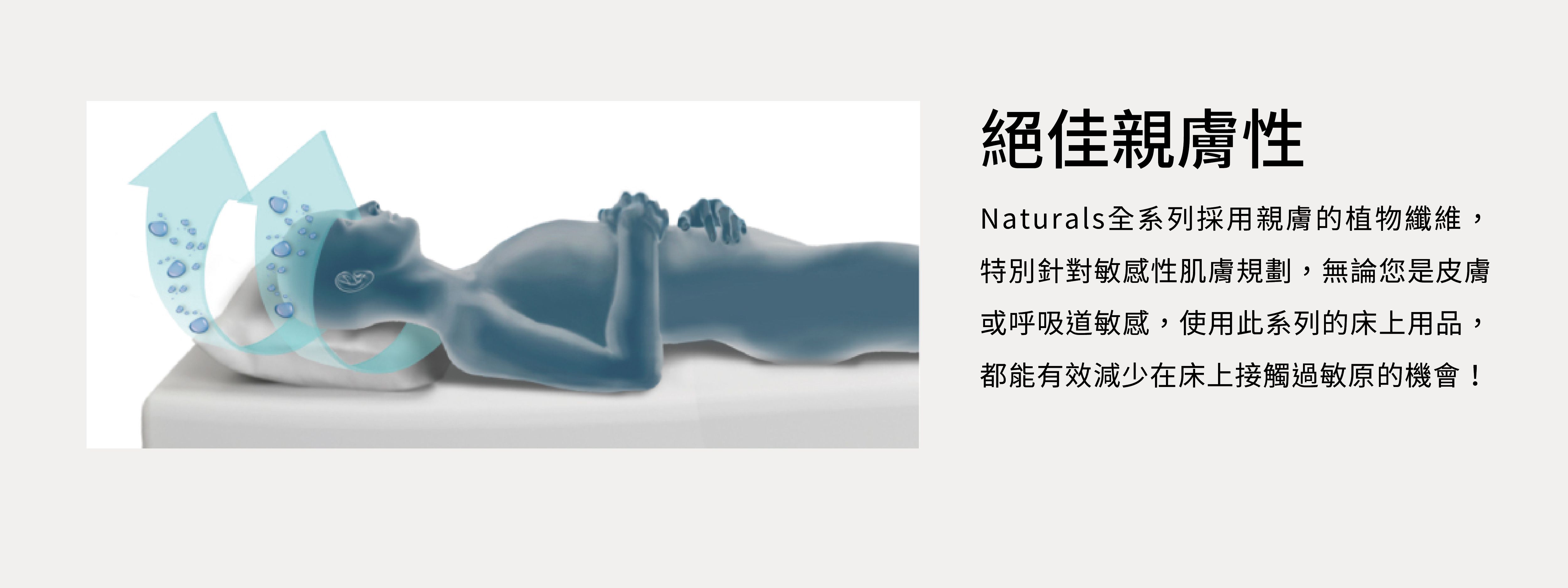 美國寢之堡 - Cotton柔棉全密封枕頭套 2 入-白-40*25cm