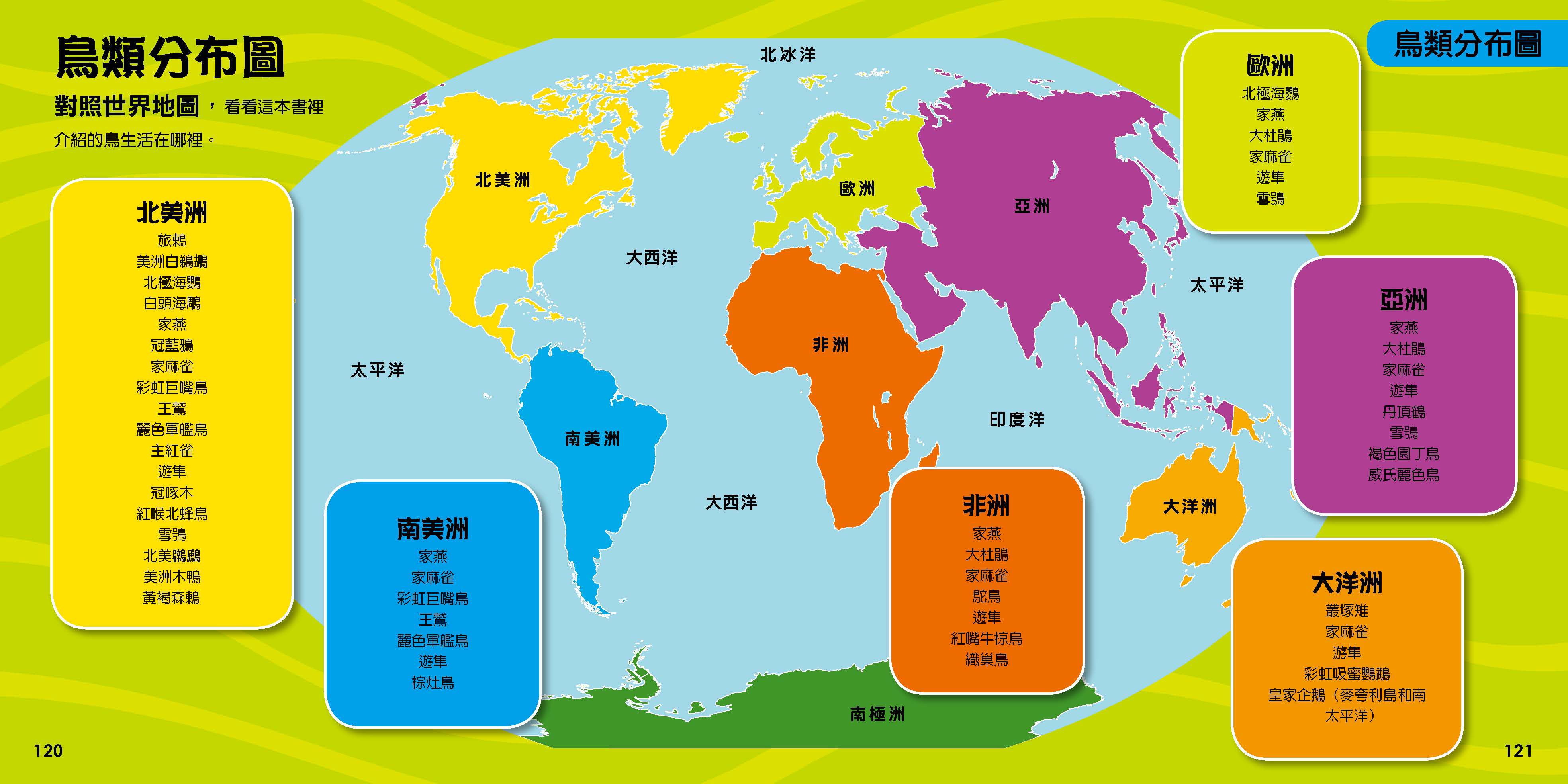 國家地理小小鳥類探險家 (精裝 /128頁 /全彩印刷)