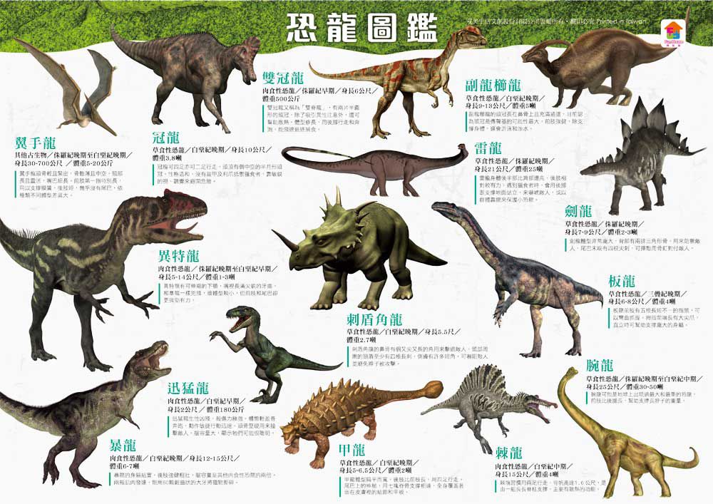 双美生活文創 - 勇闖恐龍世界-內附17隻逼真恐龍模型+4個場景配件+恐龍圖鑑+恐龍遊戲場景