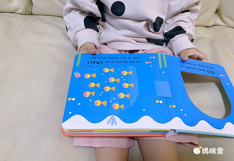 Wacky Windows: Animals 古怪百葉窗書：認識動物（厚頁書）