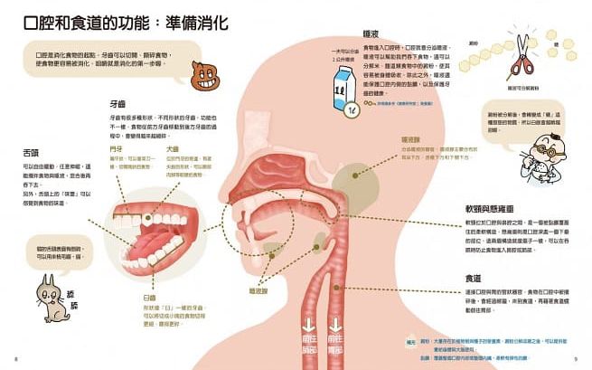 青林國際出版 - 漫畫健康研究室系列四書組(營養篇+睡眠篇+大便篇+細菌篇)