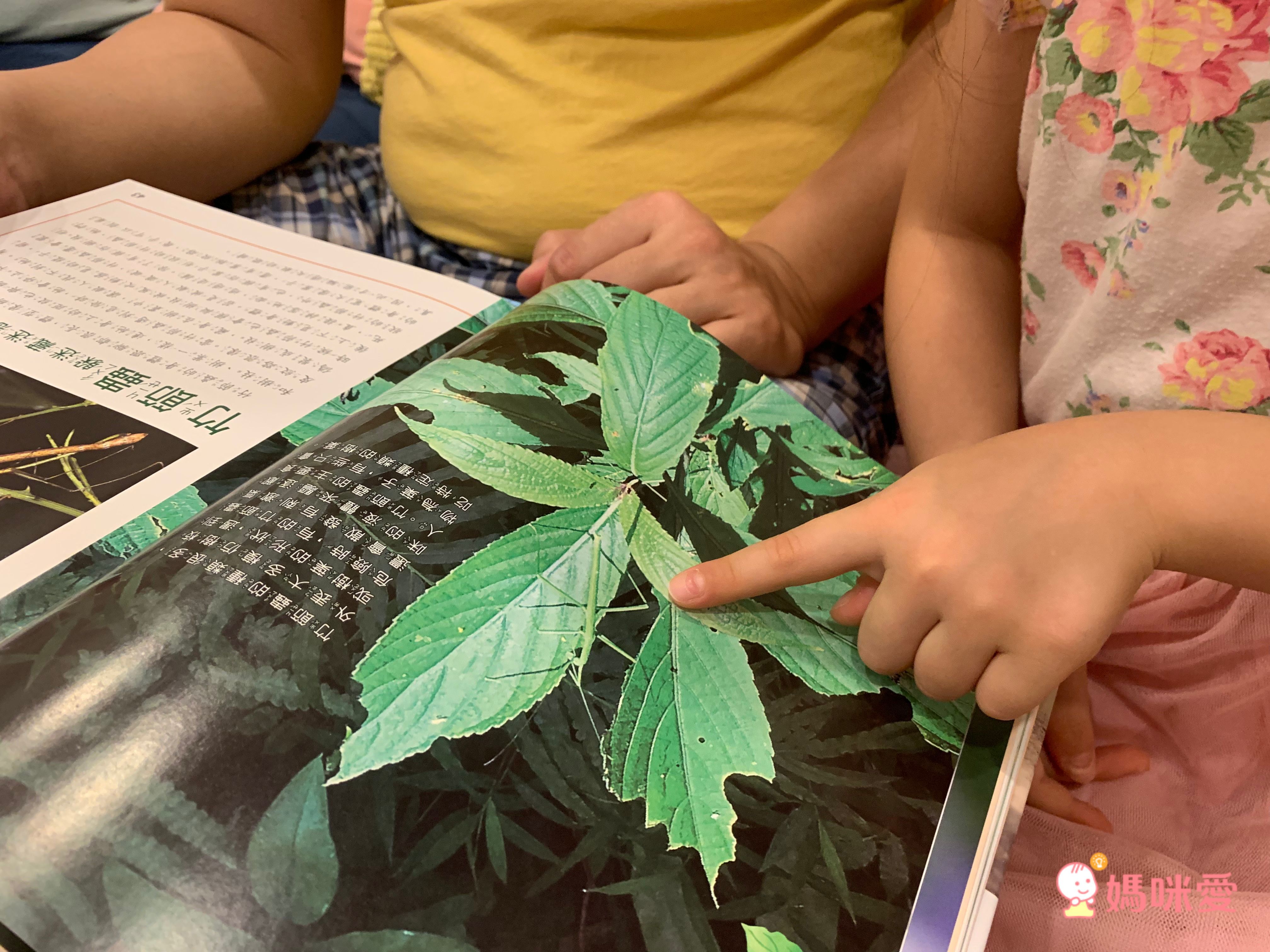 小牛頓【漫畫成語百科】語文＆科學一套搞定！看漫畫輕鬆學知識