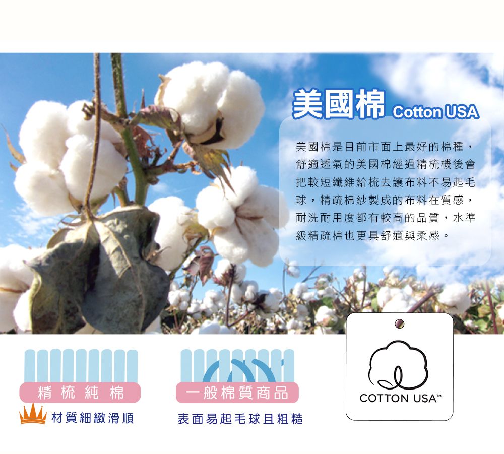 鴻宇 HongYew - 雙人薄被套 300織美國棉 純色刺繡-簡約白