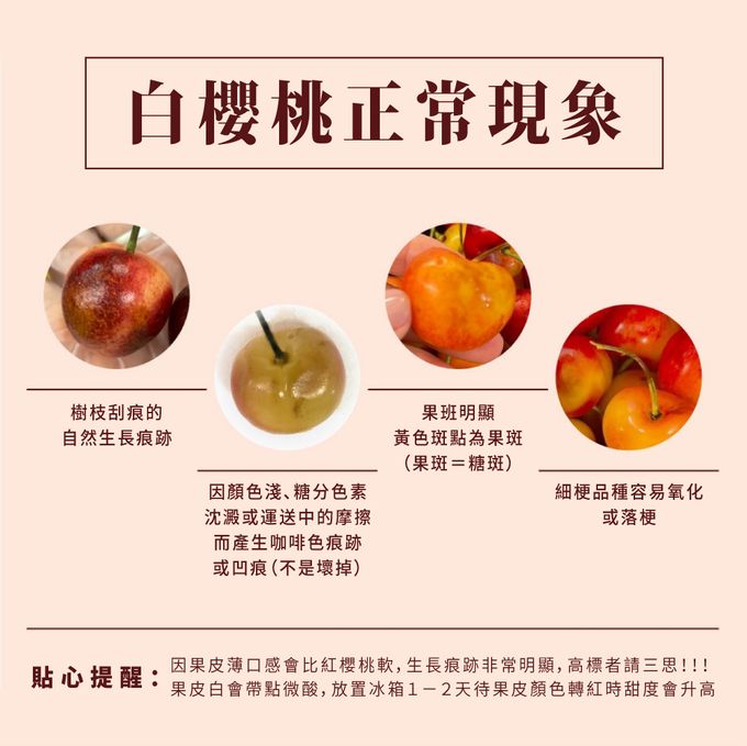 果子禮 - 智利28-30mm(2J)白寶石櫻桃含箱重1kg-(淨重850克)