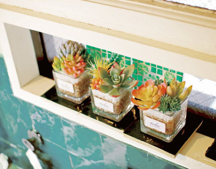 日本 KISHIMA - CT觸媒 消臭仿真多肉盆栽-方盆-KH-61181 (10x9x11cm)