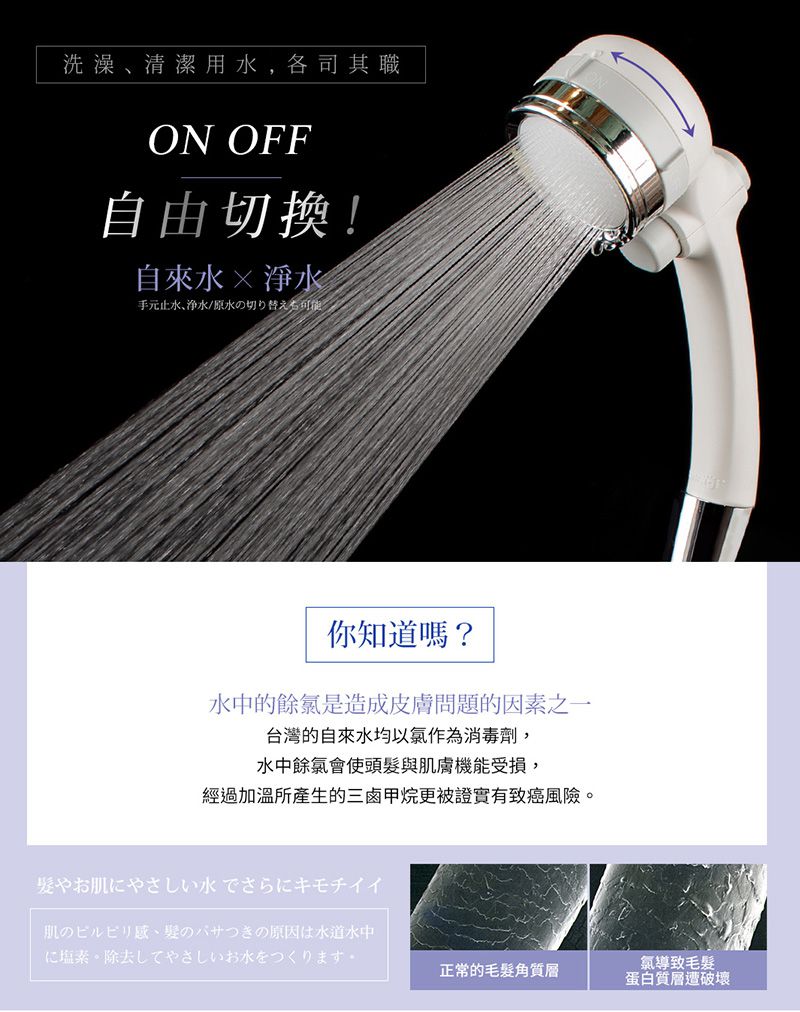 【日本 TAKAGI＆SANEI 三榮】省水蓮蓬頭