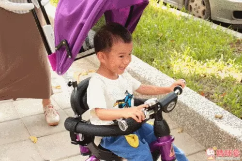 BabyBabe 兒童三輪車 免運全台最低價