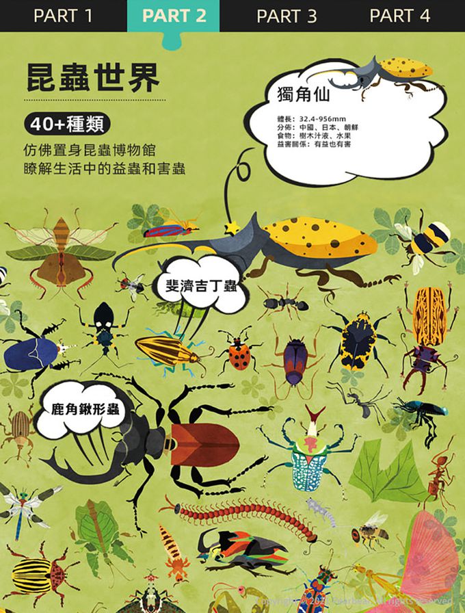 MiDeer - 圓筒百科拼圖-昆蟲世界(126片)