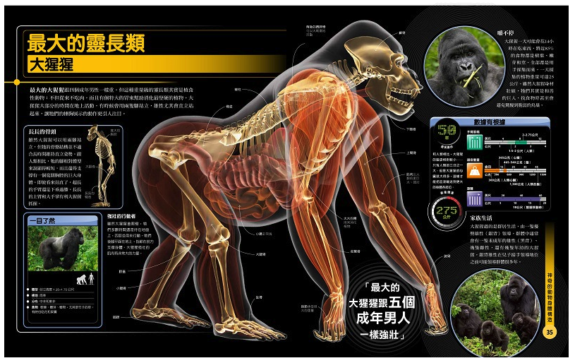 超能力動物百科：100種地球上最大、最快、最致命的動物 (精裝 / 256頁  /全彩印刷)