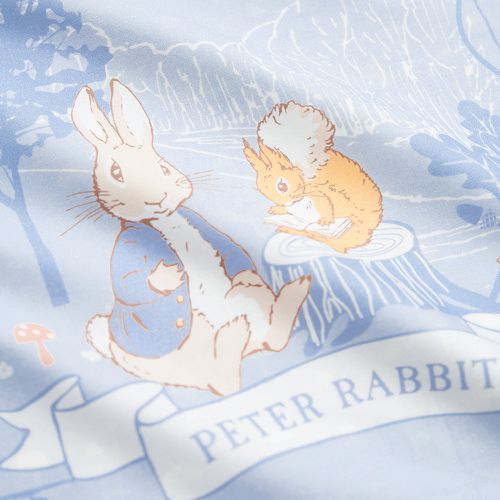 悅讀比得兔兩件式睡袋/小朋友睡袋/兒童睡袋/幼兒園睡袋 (睡袋、涼被內胎、提袋)-藍色