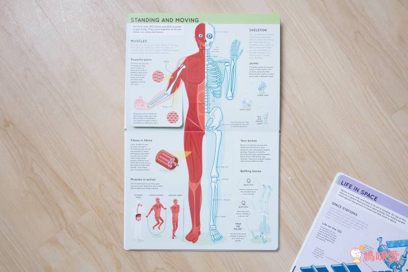 《大象艾瑪ELMER》英文繪本10書＋有聲CD套組✯ 單本不到百元！ 英文親子共讀首選♬