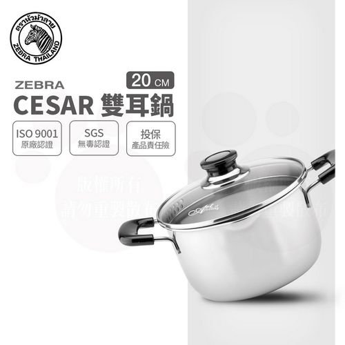 CESAR 304雙耳鍋 /湯鍋 /煮鍋 /附玻璃蓋 (20CM)-3.5L