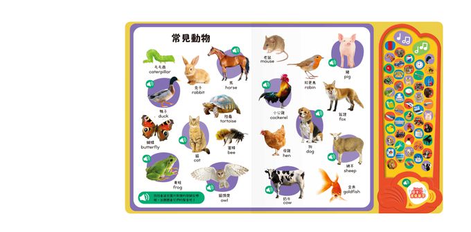 Listen！學會了！常見單字