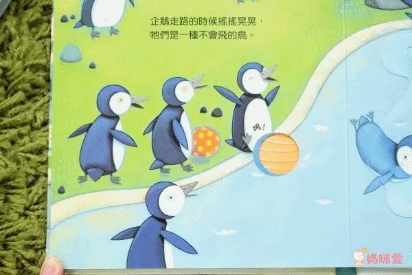 【維京國際】神奇AR互動書♡偷偷看一下知識系列♡