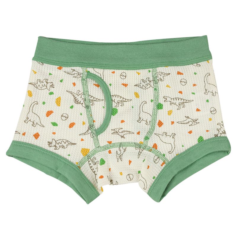 akachan honpo - 四角褲2件組-恐龍、格紋-綠色