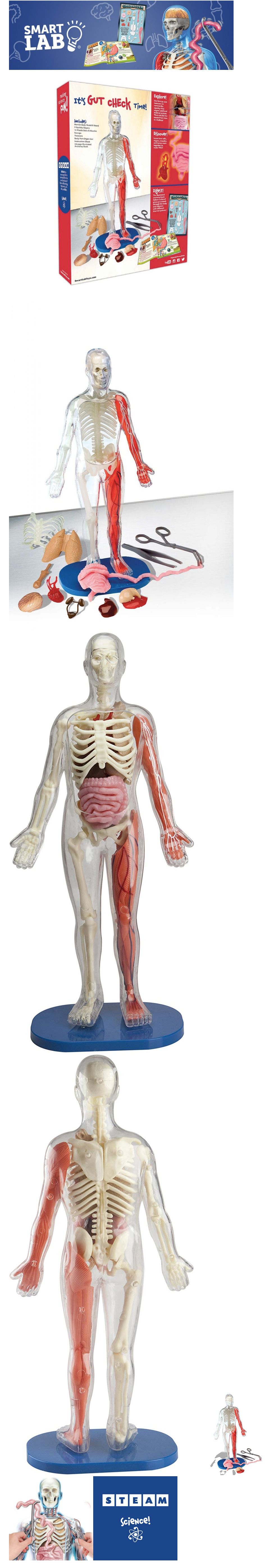 美國Smart Lab - Squishy Human Body 人體模型套組