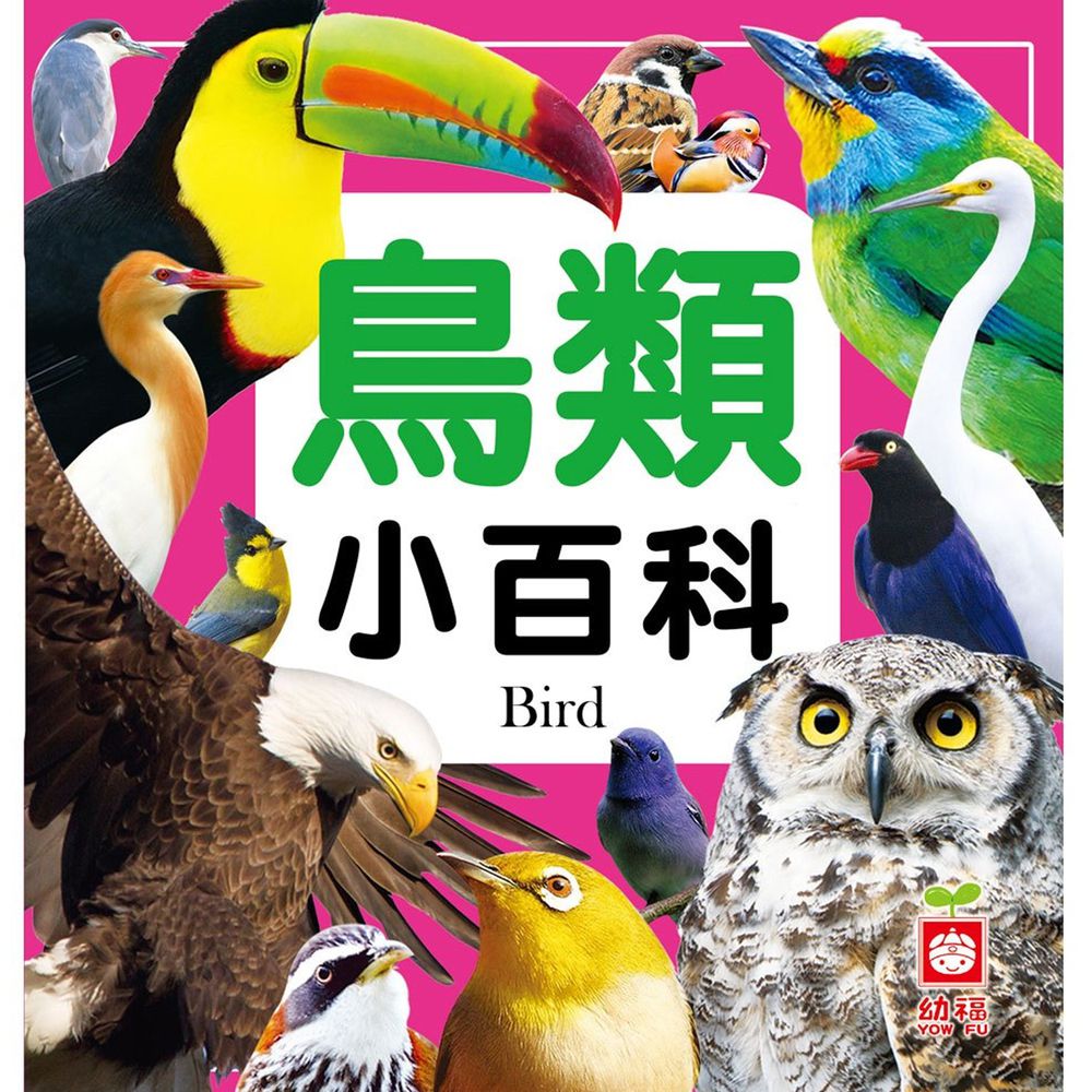 鳥類小百科(全新小百科 正方形)