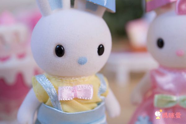 韓國【兔寶家族家家酒】正版授權，滿額送樂高收納盒