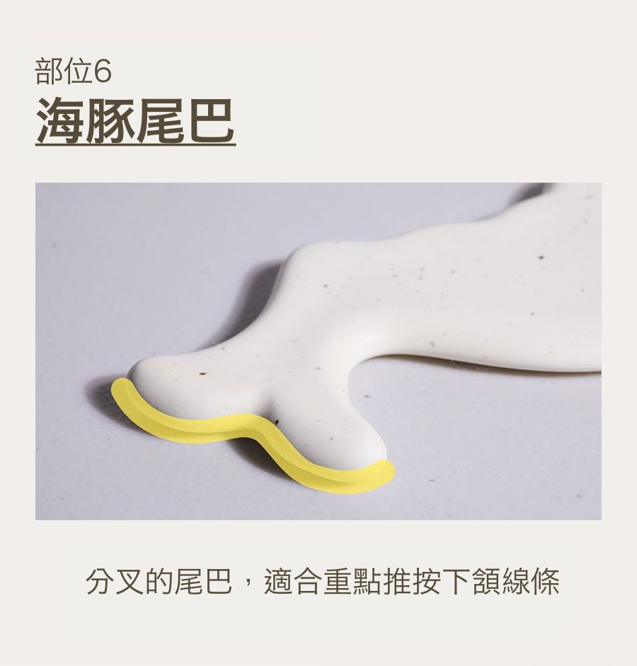 韓國 EDVIEW - 全身適用手工舒壓陶瓷刮痧板-白色海豚-1入-直播專屬