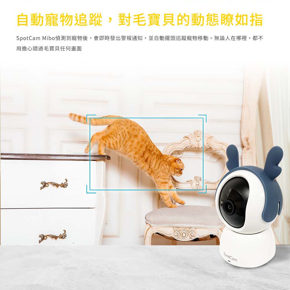 Mibo + 一年期AI毛孩照護組