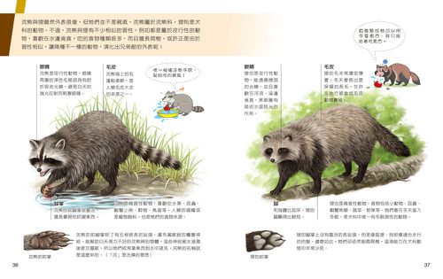 一樣不一樣：陸生動物【A級福利品特惠】-全彩 (單本)-精裝
