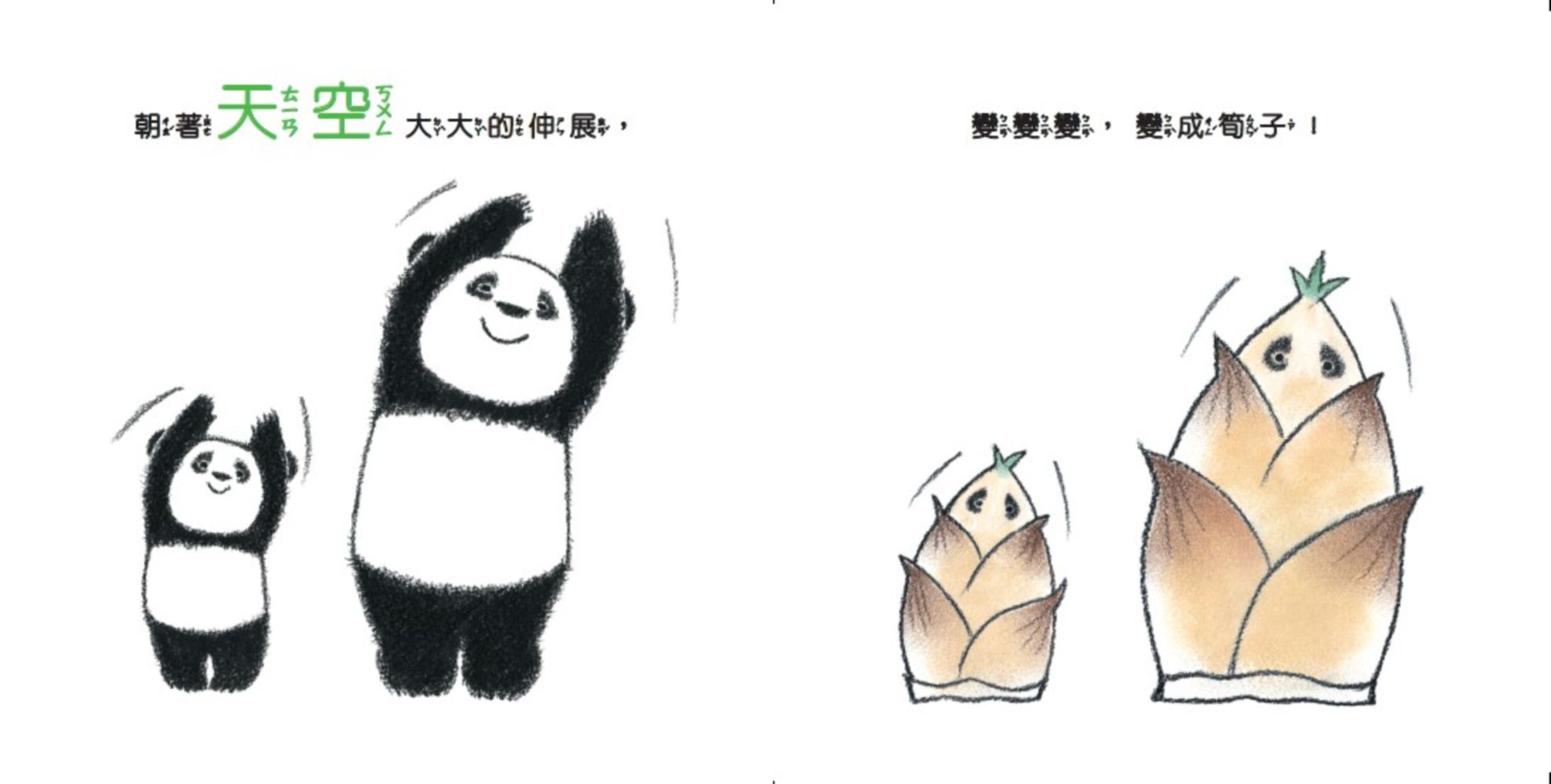 熊貓體操-3：親子動一動