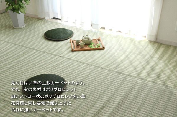 日本池彥 - 過敏協會認證 日本製防蟎蟲野餐墊 / 地毯(4-5人)-淺綠紋路 (174x174cm(江戸間2畳))