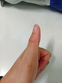 Baby趣味學習貼貼書*新版*-【4入合購】動物王國+交通工具+我會123+日常生活
