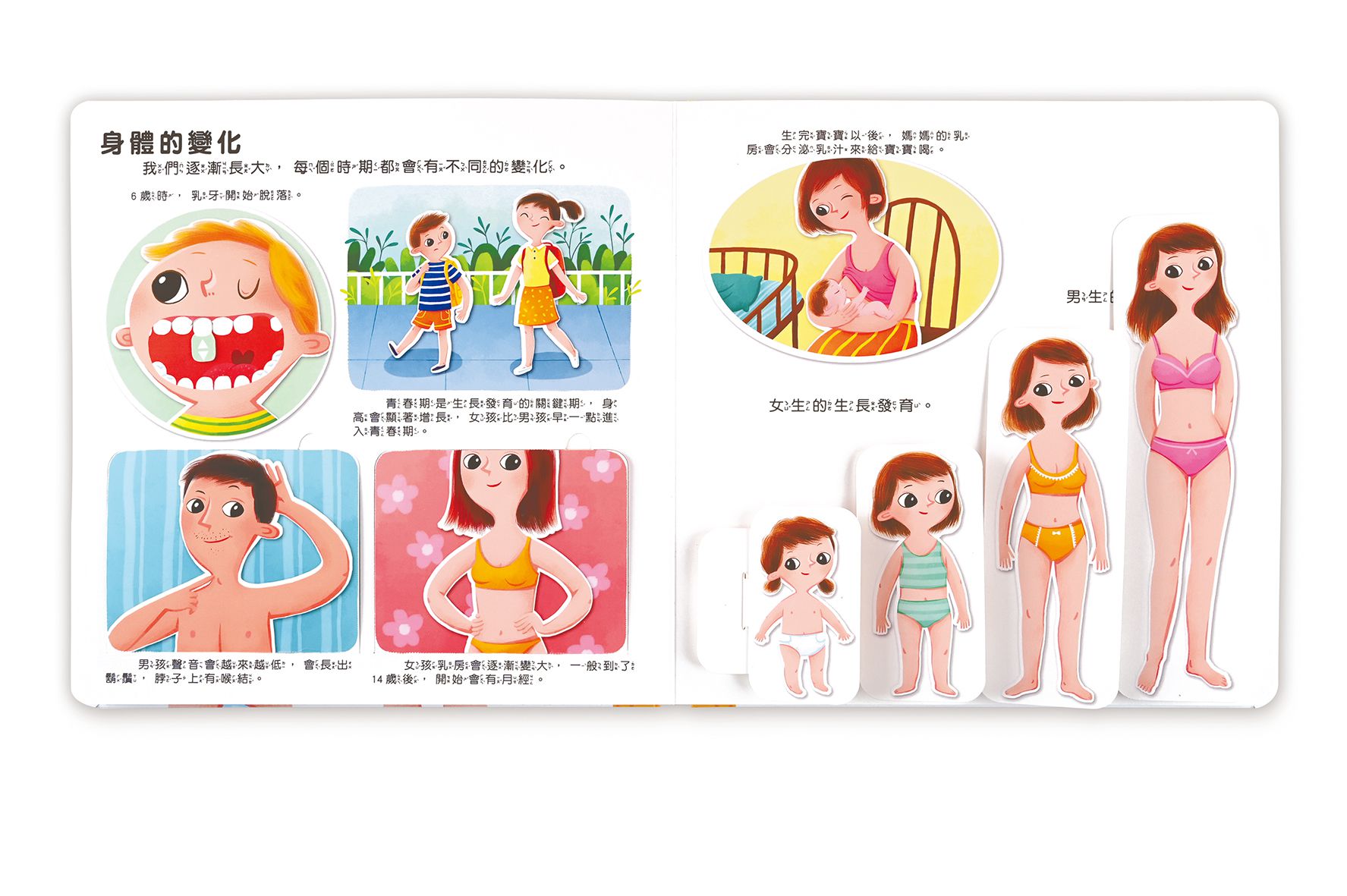 男生女生不一樣-幼兒性教育啟蒙互動遊戲書