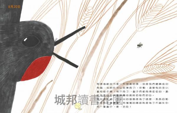 燕子遷徙日記：一段飛越地球的旅程