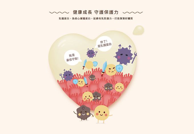 南陽 - 南楊XO幼兒成長配方1~3歲-800公克x3罐+400gx1罐