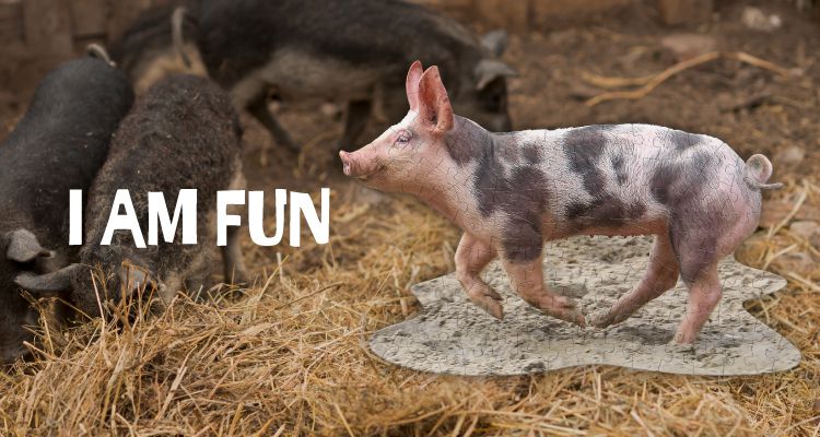 Madd Capp - I AM 動物拼圖-100,我是小豬